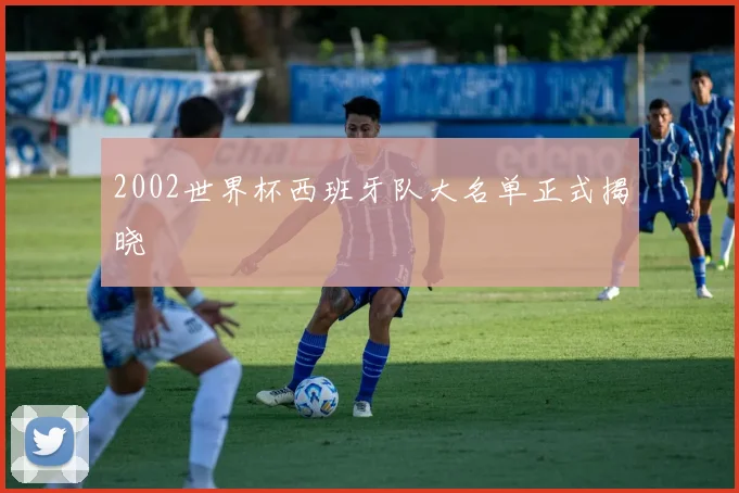 2002世界杯西班牙队大名单正式揭晓