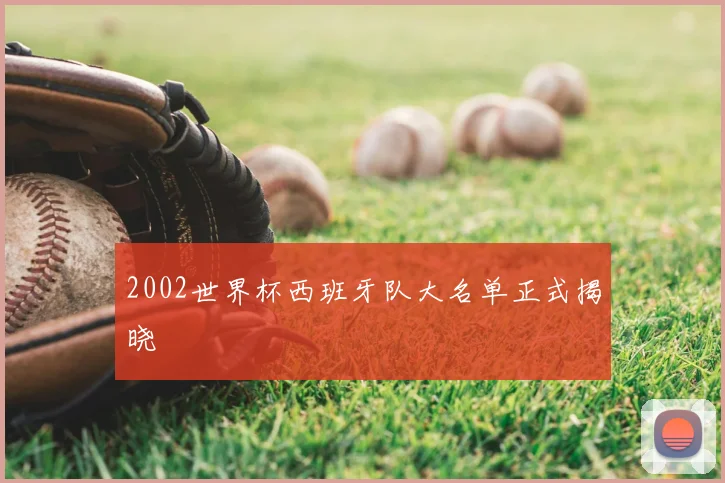 2002世界杯西班牙队大名单正式揭晓
