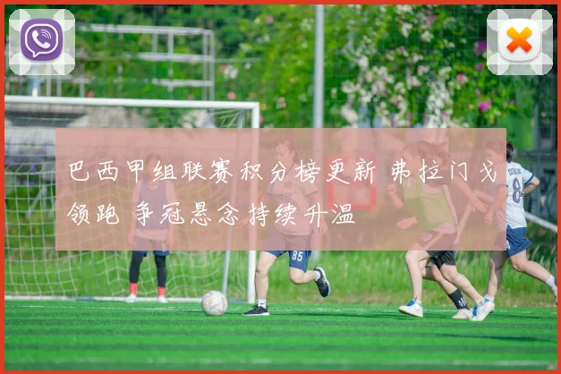 巴西甲组联赛积分榜更新 弗拉门戈领跑 争冠悬念持续升温