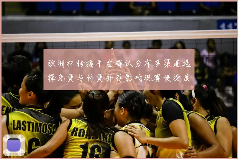 欧洲杯转播平台确认分布多渠道选择免费与付费并存影响观赛便捷度