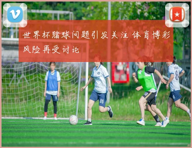 世界杯赌球问题引发关注 体育博彩风险再受讨论