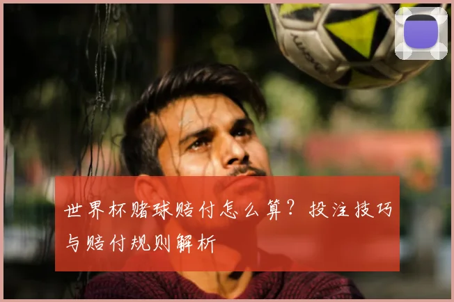 世界杯赌球赔付怎么算?投注技巧与赔付规则解析