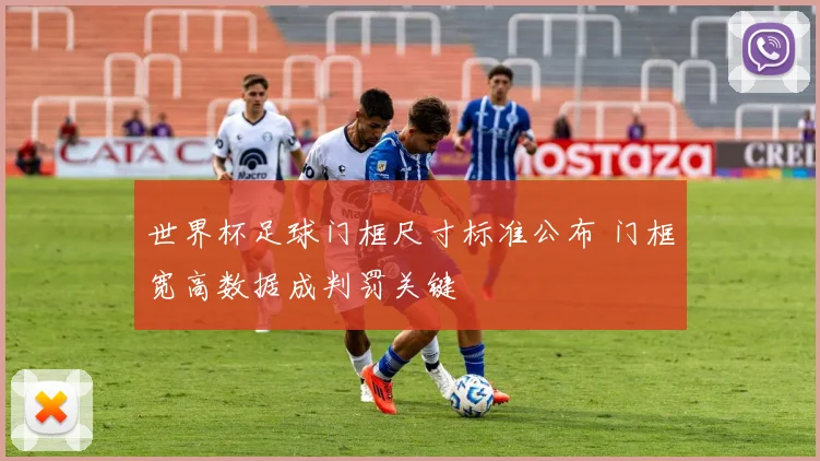世界杯足球门框尺寸标准公布 门框宽高数据成判罚关键