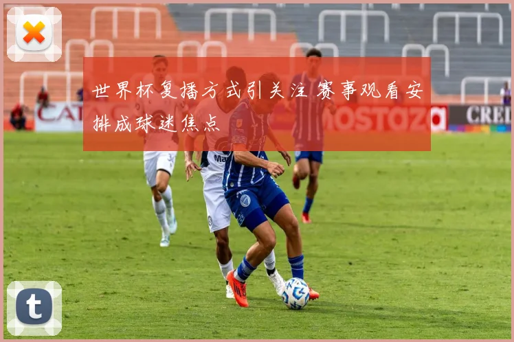 世界杯复播方式引关注 赛事观看安排成球迷焦点