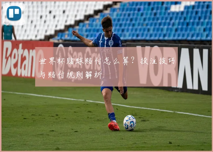 世界杯赌球赔付怎么算?投注技巧与赔付规则解析