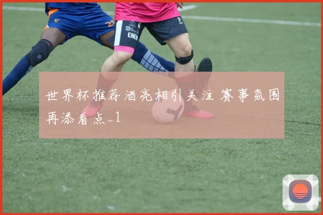 世界杯推荐酒亮相引关注 赛事氛围再添看点_1